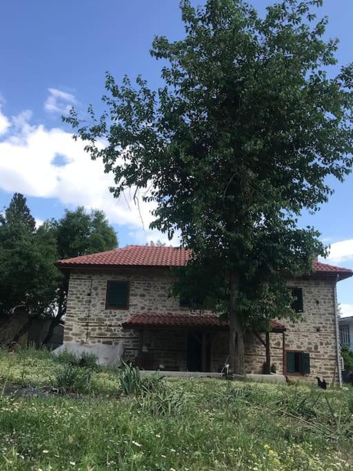 Lovely House In The Heart Of Nature Serik Buitenkant foto
